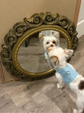 22 Inch Round Mirror